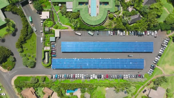 Аэромобили Паркуются Солнечными Панелями Электрических Двигателей Транспортных Средств Зеленая Энергетика — стоковое видео