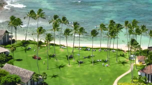在美丽的金碧辉煌的海滩上放松 去天堂蓝色的海滩旅行 夏威夷热带海滩 前往Kauai Poipu岛 海滨度假胜地田园诗般的热带海滩 复制空间 — 图库视频影像