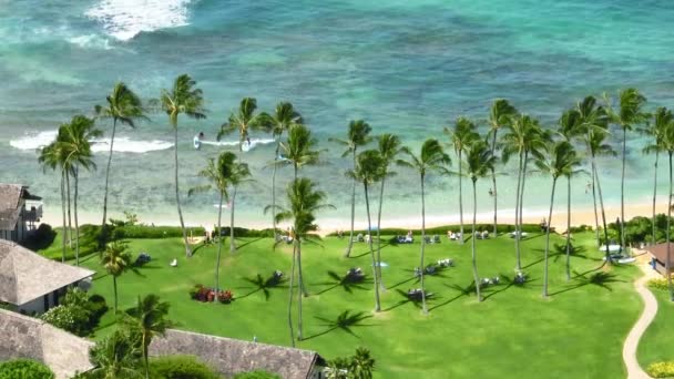 天堂岛上的热带度假胜地 美丽的夏威夷棕榈滩 有绿色的高棕榈和白色的沙子 太平洋沿岸的旅馆 前往夏威夷岛度假的旅行 — 图库视频影像