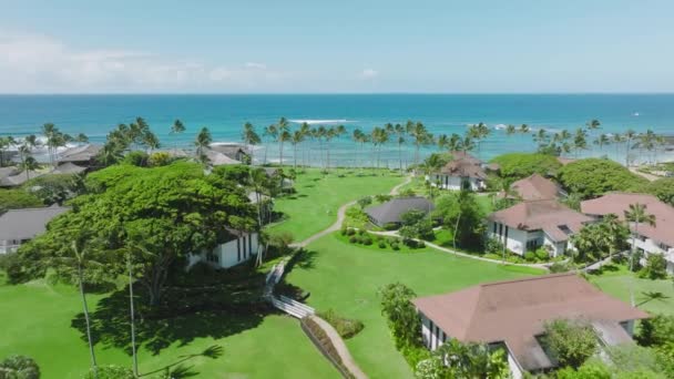 Zdjęcia Lotnicze Słynnej Wioski Poipu Kauai Wyspie Hawaje Letni Słoneczny — Wideo stockowe