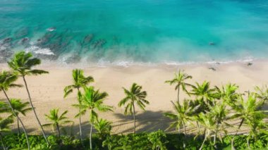 Scenic empty golden sandy beach with amazing teal blue turquoise soft waves. Summer travel copy background. Beautiful aerial beach view with cinematic green palms trees slowly swaying on ocean breeze