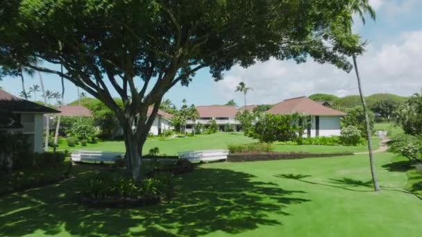 在常绿树下的绿色草坪上飞行的无人机 朝向有漂亮海滩平房的热带绿色花园飞去 夏威夷岛暑假 为美国夏威夷的房地产生意拍摄 — 图库视频影像