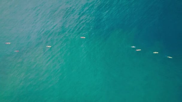 Cinematic Aerial Top View Group Colorful Kayaks Rowing Teal Blue — Vídeos de Stock