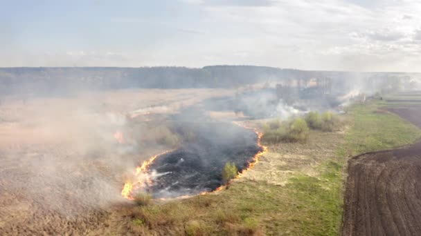 Безпілотні Кадри Багаття Полі Сільськогосподарський Майданчик Відкритим Вогнем Видно Згори — стокове відео