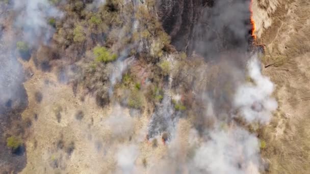 风景如画的乡村 烧尽了农田 篝火污染空气的无人机镜头 高质量的4K镜头 — 图库视频影像