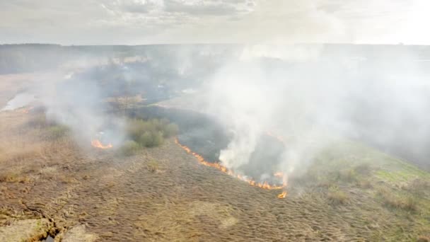 Agricultural Site Open Fire Seen Aerial View Dense Smoke Spreading — Vídeos de Stock