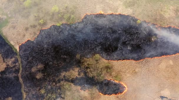 Burned Soil Thick Smoke Drone Footage Straw Burning Field Countryside — Vídeos de Stock