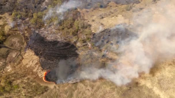 危险的露天篝火 上方有烟 一个有农业牧场的农村的空中录像 高质量的4K镜头 — 图库视频影像
