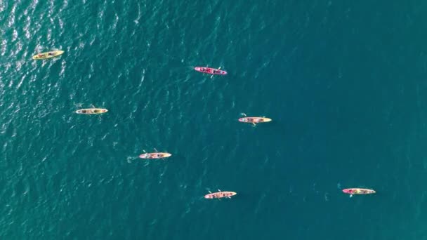Повітряне Безпілотне Відео Жінок Чоловіків Які Веслують Спортивному Каяку Тропічній — стокове відео