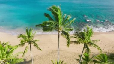 Manzaralı Haena plajı. Parlak güneş, muhteşem tropikal doğayı ve Hawaii palmiyelerini aydınlatır. Pürüzsüz, şeffaf mavi okyanus suyunun üzerindeki 4K hava aracı görüntüsü kıyıda köpürüyor, altın plaj kumlarını yıkıyor.