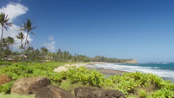 Slow Motion Tropical Island Background Sunny Summer Day Scenic Tall — Video Stock