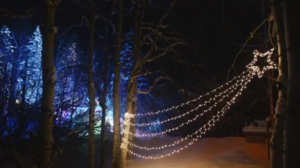 Boldog Karácsonyt Boldog Évet Téli Háttér Éjszakai Megvilágítás Lassított Felvételen — Stock videók