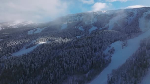 Légi Madarak Kilátás Téli Felvételeket Kamera Lassan Forog Billenő Snowmass — Stock videók