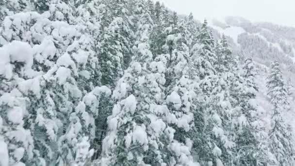 Aspen Mountains Landscape Cloudy Winter Day Holiday Travel Tourism Frosty — Stock videók