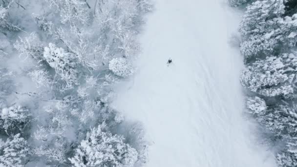 Медленное Движение Воздушных Кадров Лыжника Идеальном Лыжном Склоне Больших Горах — стоковое видео