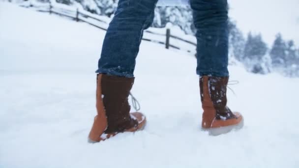 Close View Female Boots Walking Fresh White Snow Countryside Scenic — Stock videók