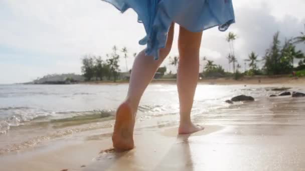 Perfect Summer Background Tropical Hawaii Beach Slow Motion Back View — Vídeo de Stock