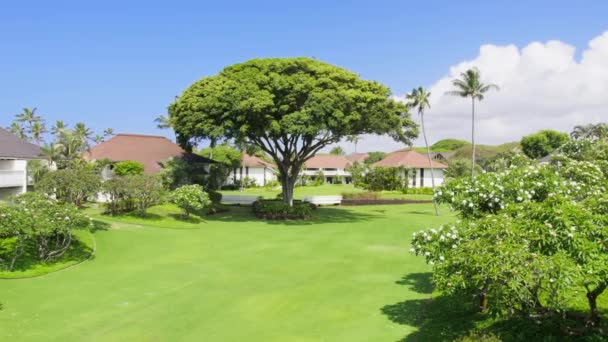 Foto Muñeca Cámara Roja Edificios Bungalows Estilo Playa Con Hermoso — Vídeo de stock