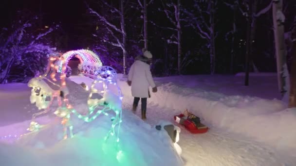 Red Camera Tracking Shot Happy Woman Pulling Sled Full Colorful — Video