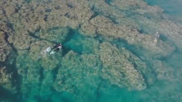 Aerial View People Swimming Crystal Clear Waters Man Woman Snorkeling — Vídeos de Stock