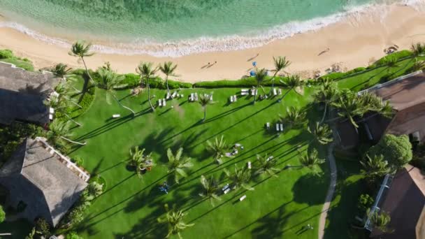 Poipu Sahili Nin Insansız Hava Aracı Görüntüleri Dar Altın Kumlar — Stok video