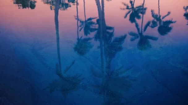Красивый Закат Гавайском Пляже Остров Кауаи Закат Над Лагуной Курортного — стоковое видео