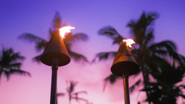 Tiki Enciende Hawai Cámara Lenta Antorchas Con Fuego Llamas Ardiendo — Vídeos de Stock