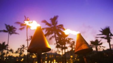Slow motion summer background USA. Hawaii island on warm summer sunset with clear blue purple skies behind scenic palm trees waving on breeze.Beautiful bright Tiki lantern flame torch on Waikiki beach