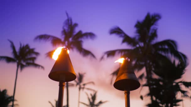 Tiki Torches Held Tiki Gods Lining Hut Outdoor Polynesian Luau — Stockvideo