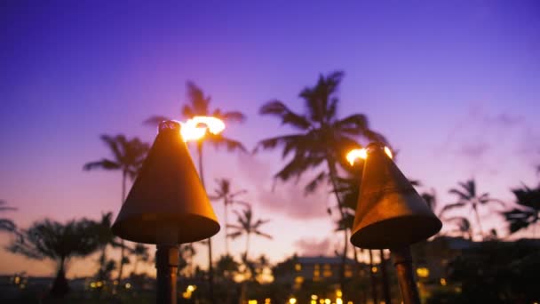 Hawaii Sunset Fire Torches Hawaiian Icon Lights Burning Dusk Beach — Video Stock