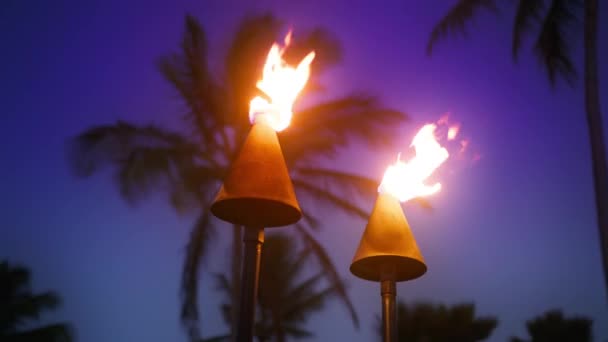 Antorcha Llama Linterna Tiki Playa Waikiki Isla Hawaii Cálida Noche — Vídeos de Stock