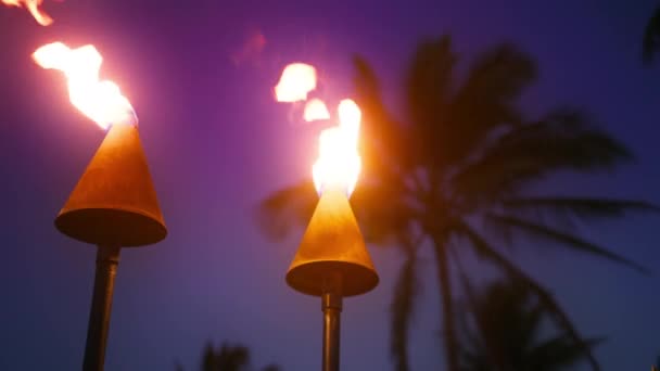 Hawaii Island Warm Summer Night Clear Blue Purple Skies Scenic — Stockvideo