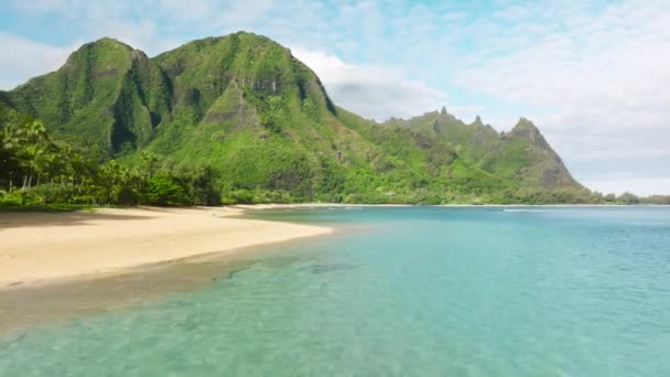 Sfondo Spiaggia Hawaiana Spiaggia Tropicale Soleggiata Sull Isola Delle Hawaii — Video Stock