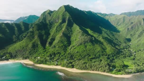 Traveling Pure Nature Tropical Island Kauai Hawaii Usa Cinematic Aerial — Wideo stockowe