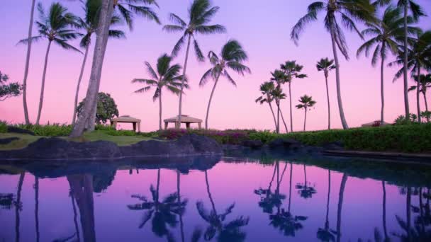 Majestic Tropical Island Summer Sunset Sky Landscape Pacific Pink Skyline — Stockvideo