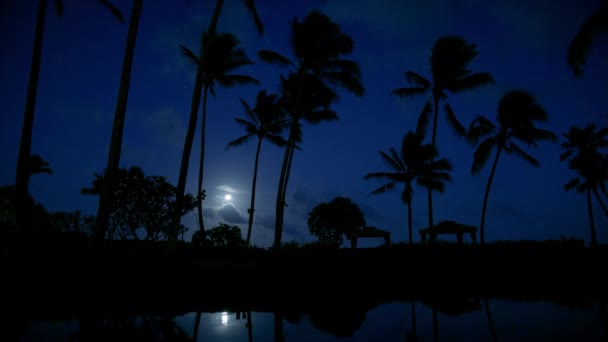 Полнолуние Светится Над Пляжным Курортом Ночью Кинематографическая Ночная Замедленная Съемка — стоковое видео