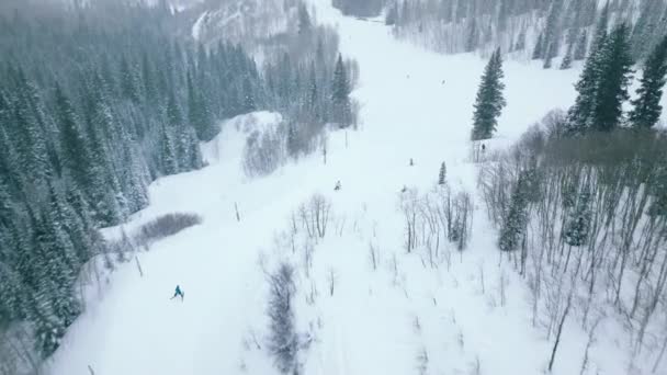 Ski Aerial Fast Skiers Beautiful Mountain Forest Landscape Riding Snowy — Wideo stockowe