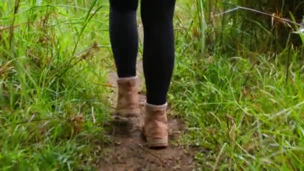 Close Woman Legs Pink Hiking Boots Walking Wet Green Grass — Wideo stockowe