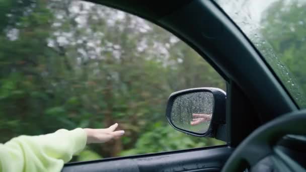 Жіноча Рука Ловить Краплі Дощу Під Час Їзди Лісі Щаслива — стокове відео
