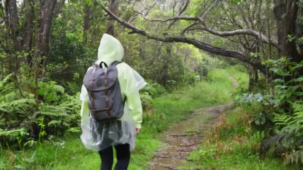 Wolno Poruszająca Się Młoda Kobieta Wędrująca Jesienią Lesie Deszczowym Aktywna — Wideo stockowe