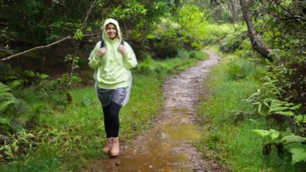 Турист Путешествует Тропическим Лесам Большими Деревьями Зелеными Папоротниками Пышной Зеленью — стоковое видео