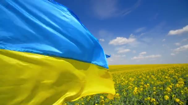 Motion Wallpaper Ukrainian National Symbols Concept Waving Blue Yellow Flag — 图库视频影像