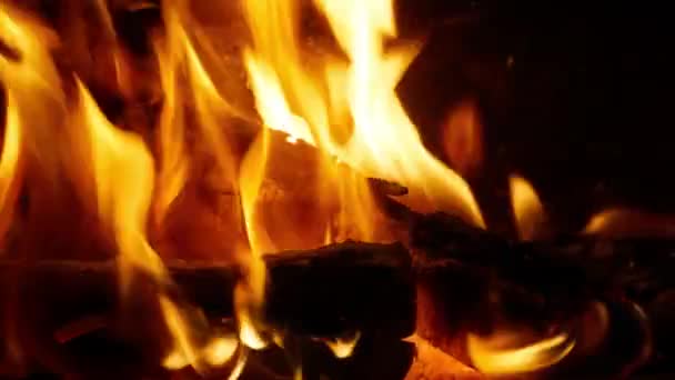 Яркое Пламя Горящего Костра Темном Фоне Летнюю Ночь Открытом Воздухе — стоковое видео