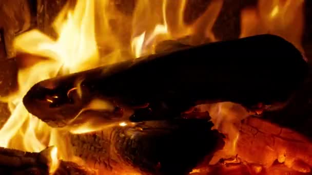 Fireplace Cozy Cabin Burning Fireplace Bright Orange Flame Cozy Forest — Stockvideo