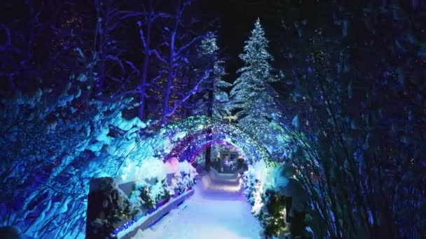 Hóval Borított Mágikus Téli Erdő Hóesés Sötét Éjszakai Égbolt Alatt — Stock videók