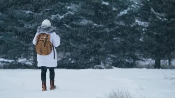 Szczęśliwa Podekscytowana Kobieta Spacerująca Pięknym Zimowym Parku Śnieżny Dzień Podróżnik — Wideo stockowe