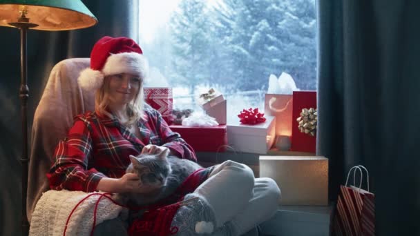 Woman Petting Cat Rocker Living Room Female Owner Stroking Grey — Vídeo de Stock