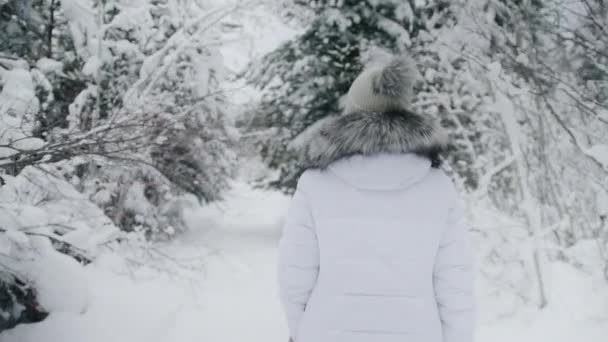 Christmas Travels Concept Slow Motion Camera Follows Woman Trip Adventure — Stock Video