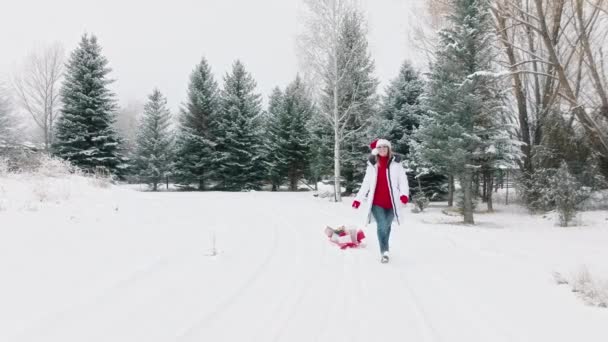 Santa Fêmea Puxando Caixas Presente Com Arcos Dourados Vermelhos Trenó — Vídeo de Stock