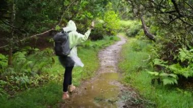 Ağaçların arasında yağmurlu bir günde yürüyen yavaş çekim turisti. Gündüz yaprak yağmuru, kırmızı kamera görüntüleri. Küçük bir ağacın üzerine hafif yağmur yağıyor. Yeşil doğa konsepti, ekoloji çevre görüntüsü
